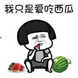 娱乐圈吃瓜动漫